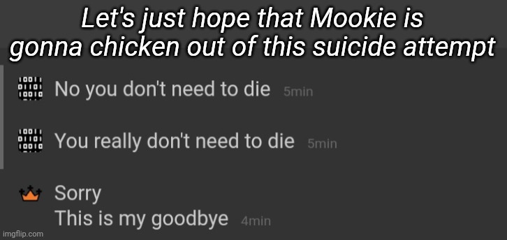 4:17 PM EST, 2020, Dec 14, might be Mookie's last message. Let's wait and hope she comes back, eh? | Let's just hope that Mookie is gonna chicken out of this suicide attempt | image tagged in tag | made w/ Imgflip meme maker