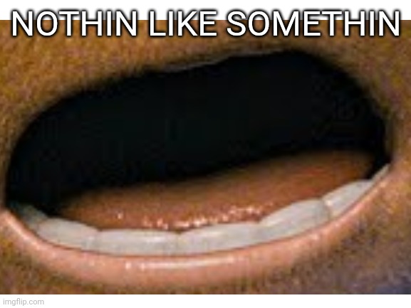 NOTHIN LIKE SOMETHIN | made w/ Imgflip meme maker