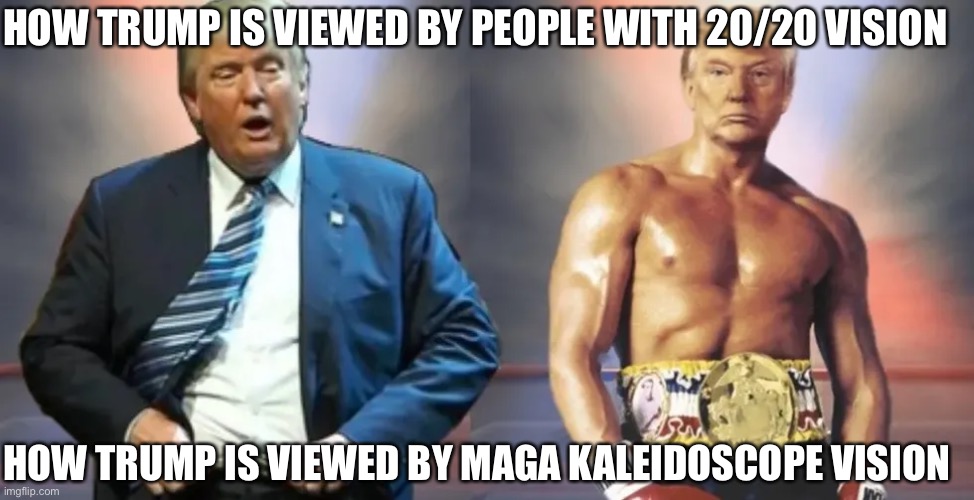 This orange KoolAid MAGA paradox . | HOW TRUMP IS VIEWED BY PEOPLE WITH 20/20 VISION; HOW TRUMP IS VIEWED BY MAGA KALEIDOSCOPE VISION | image tagged in donald trump,fake news,maga,delusional,joe biden,president | made w/ Imgflip meme maker