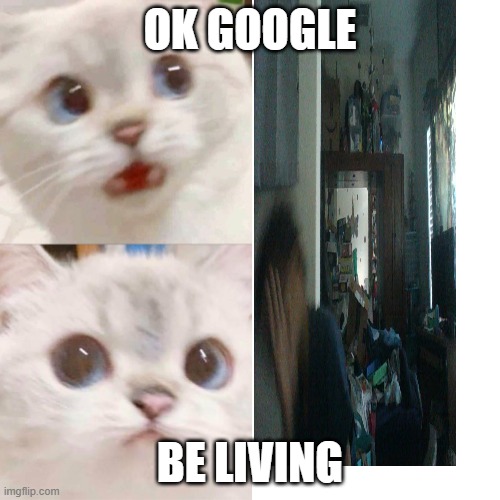 PANIK - CALM cat | OK GOOGLE; BE LIVING | image tagged in panik - calm cat | made w/ Imgflip meme maker