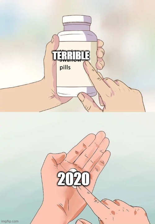 That is definitly terrible | TERRIBLE; 2020 | image tagged in memes,hard to swallow pills | made w/ Imgflip meme maker