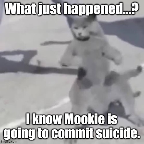 . | What just happened...? I know Mookie is going to commit suicide. | image tagged in cat nae nae | made w/ Imgflip meme maker