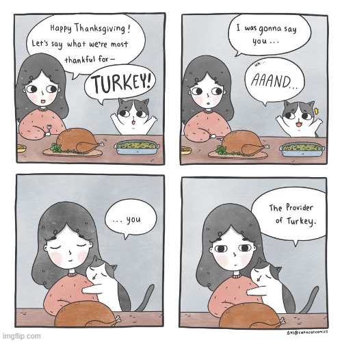 turkey day | image tagged in funny,partly wholesome | made w/ Imgflip meme maker