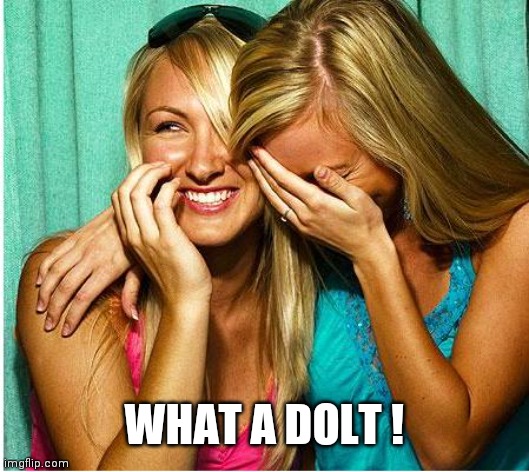 Laughing Girls | WHAT A DOLT ! | image tagged in laughing girls | made w/ Imgflip meme maker