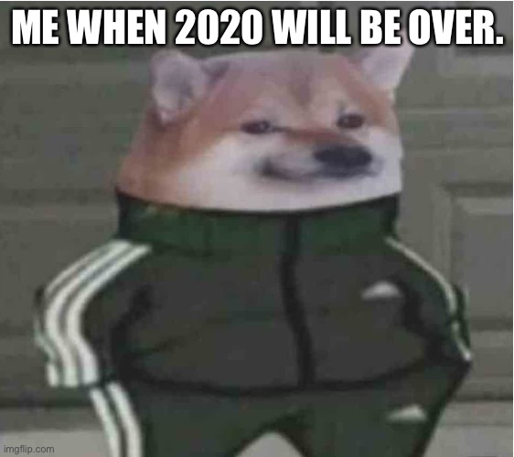 addidas dawg | ME WHEN 2020 WILL BE OVER. | image tagged in addidas dawg | made w/ Imgflip meme maker