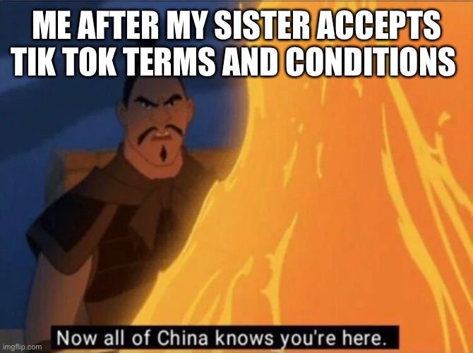 Hm |  ME AFTER MY SISTER ACCEPTS TIK TOK TERMS AND CONDITIONS | image tagged in now all of china knows you're here | made w/ Imgflip meme maker