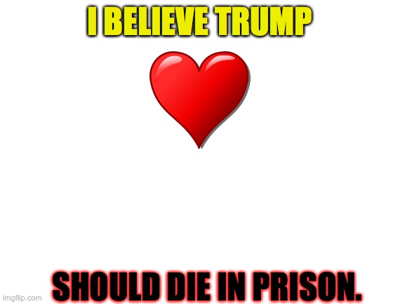 i believe Trump | I BELIEVE TRUMP; SHOULD DIE IN PRISON. | image tagged in blank white template,die,prison,loser,liar,stop the steal | made w/ Imgflip meme maker