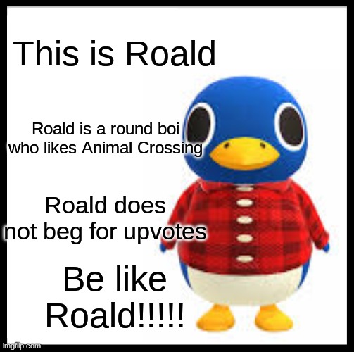 roald | This is Roald; Roald is a round boi who likes Animal Crossing; Roald does not beg for upvotes; Be like Roald!!!!! | image tagged in penguin,animal crossing | made w/ Imgflip meme maker