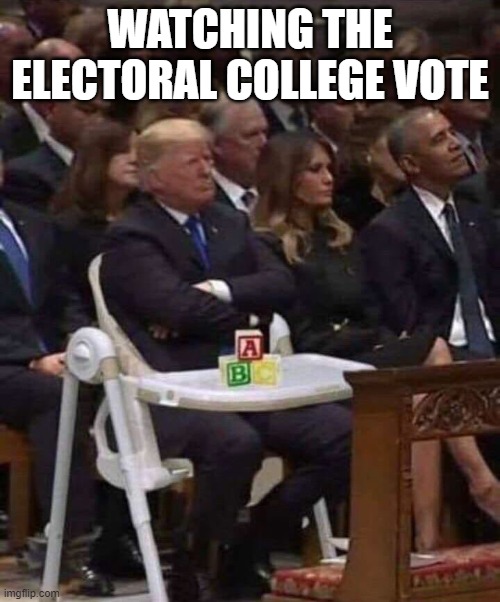 Watching the Electoral College Vote | WATCHING THE ELECTORAL COLLEGE VOTE | image tagged in donald trump,trump,donald trump the clown,dump trump,dumptrump,sore loser | made w/ Imgflip meme maker
