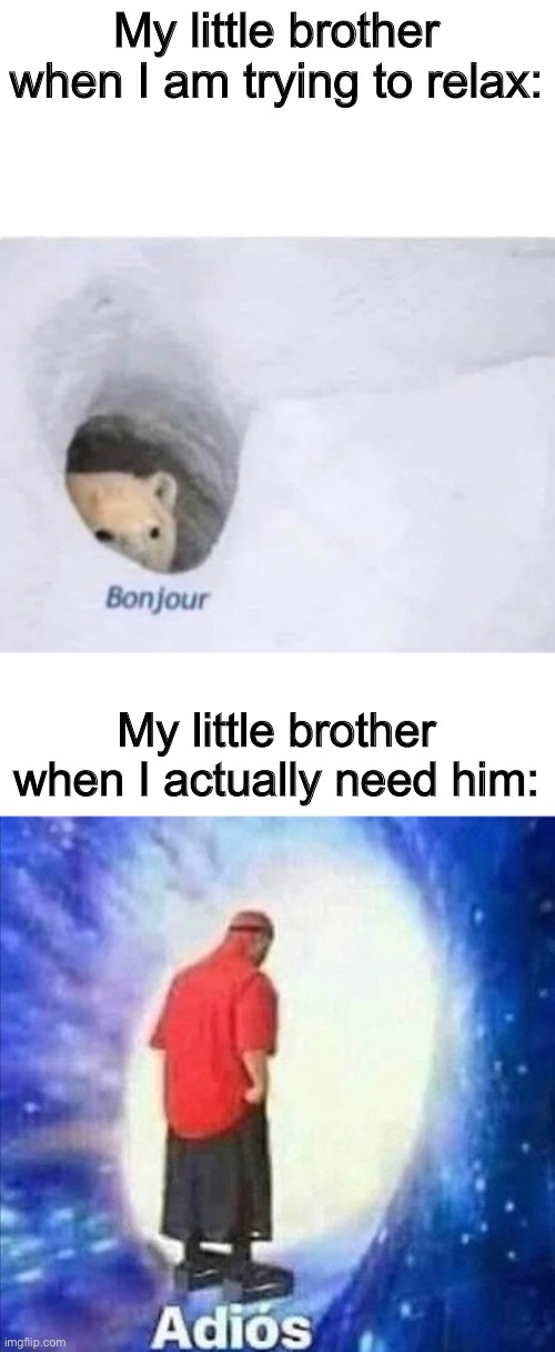 Bonjour. | My little brother when I am trying to relax:; My little brother when I actually need him: | image tagged in bonjour,adios | made w/ Imgflip meme maker