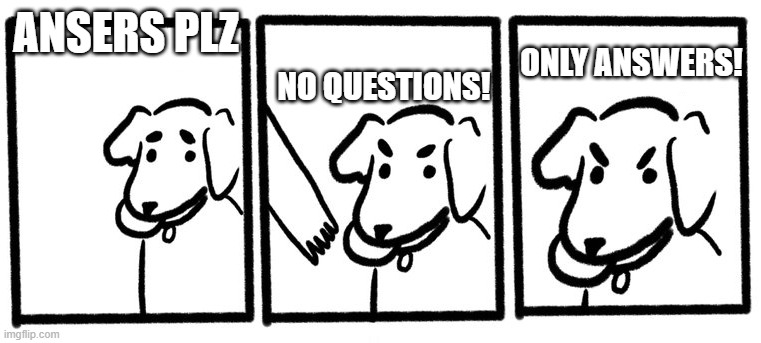 No Take, Only Throw | ANSERS PLZ; NO QUESTIONS! ONLY ANSWERS! | image tagged in no take only throw | made w/ Imgflip meme maker