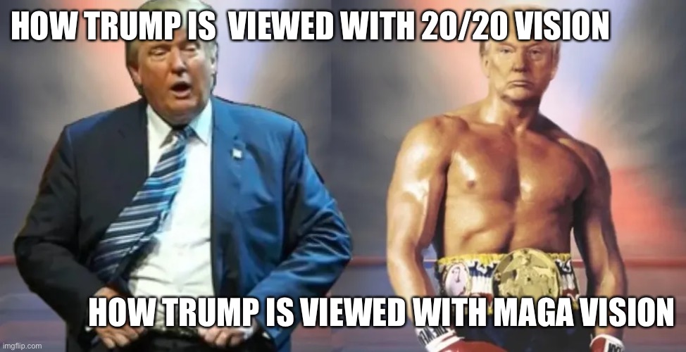 Delusional conspiracy fed MAGA vision | HOW TRUMP IS  VIEWED WITH 20/20 VISION; HOW TRUMP IS VIEWED WITH MAGA VISION | image tagged in donald trump,maga,conspiracy theory,crazy,cult,leader | made w/ Imgflip meme maker