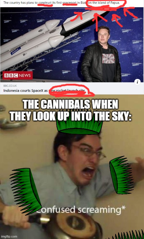 Poor Cannibals | THE CANNIBALS WHEN THEY LOOK UP INTO THE SKY: | image tagged in cannibal,confused screaming,spacex | made w/ Imgflip meme maker