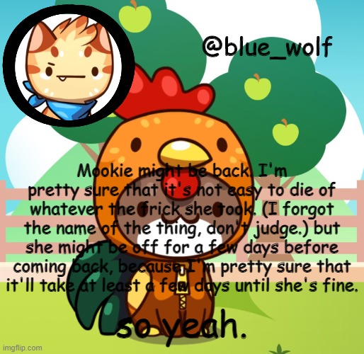 that's all I'm gonna say. Now to go watch youtube.... | Mookie might be back. I'm pretty sure that it's not easy to die of whatever the frick she took. (I forgot the name of the thing, don't judge.) but she might be off for a few days before coming back, because I'm pretty sure that it'll take at least a few days until she's fine. so yeah. | image tagged in blue wolfs announcement thing | made w/ Imgflip meme maker