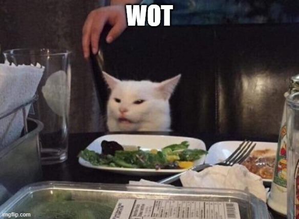 Salad cat | WOT | image tagged in salad cat | made w/ Imgflip meme maker