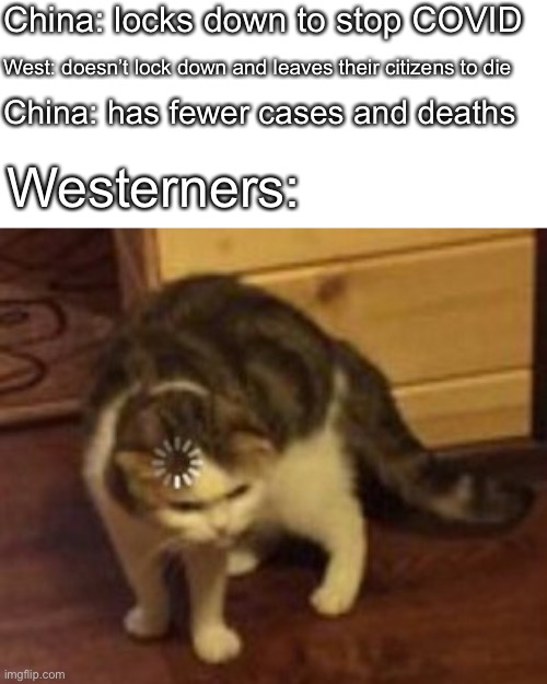 tHeY mUsT bE lYiNg AbOuT tHeIr NuMbErS | China: locks down to stop COVID; West: doesn’t lock down and leaves their citizens to die; China: has fewer cases and deaths; Westerners: | image tagged in loading cat,covid-19,china | made w/ Imgflip meme maker
