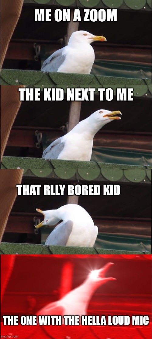 breh it do be true doe | ME ON A ZOOM; THE KID NEXT TO ME; THAT RLLY BORED KID; THE ONE WITH THE HELLA LOUD MIC | image tagged in memes,inhaling seagull | made w/ Imgflip meme maker