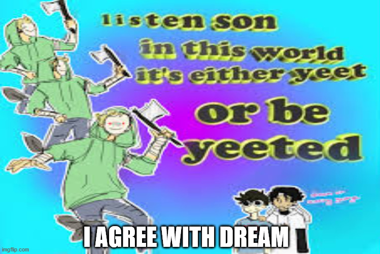 in this world its yeet or be yeeted | I AGREE WITH DREAM | image tagged in yeet | made w/ Imgflip meme maker