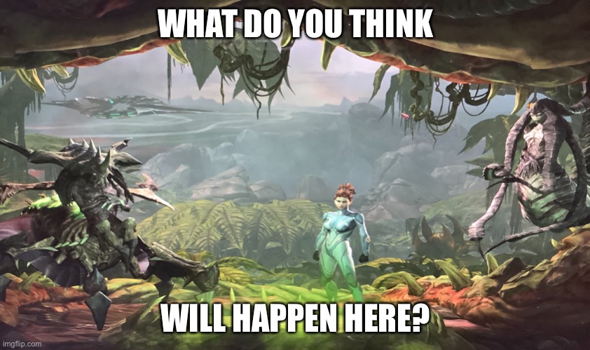 Only Starcraft fans will know | WHAT DO YOU THINK; WILL HAPPEN HERE? | image tagged in starcraft | made w/ Imgflip meme maker