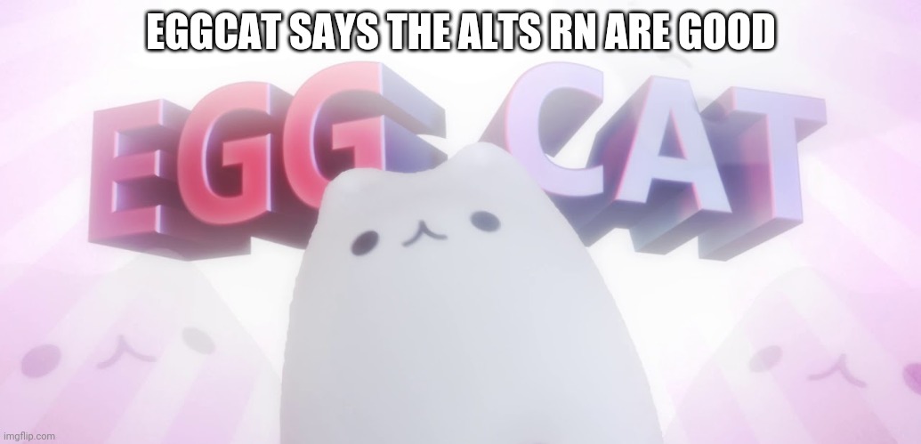 right now. note i said right now. | EGGCAT SAYS THE ALTS RN ARE GOOD | image tagged in eggcat | made w/ Imgflip meme maker