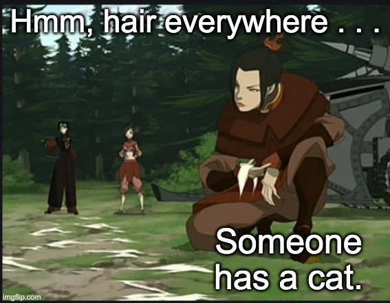 Detective skills | Hmm, hair everywhere . . . Someone has a cat. | image tagged in avatar the last airbender,cats | made w/ Imgflip meme maker