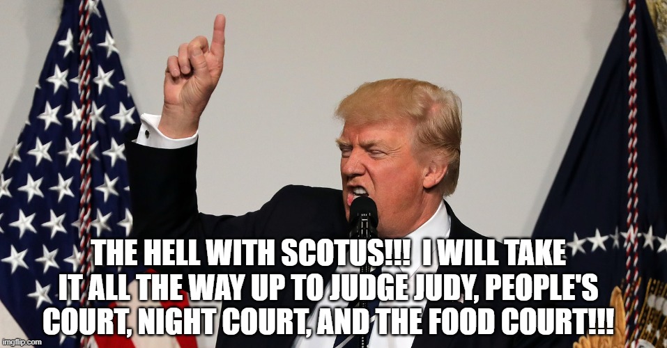 Loser Trump will take it all the way up to the top | THE HELL WITH SCOTUS!!!  I WILL TAKE IT ALL THE WAY UP TO JUDGE JUDY, PEOPLE'S COURT, NIGHT COURT, AND THE FOOD COURT!!! | image tagged in trump,court,supreme court,scotus,election 2020,fraud | made w/ Imgflip meme maker