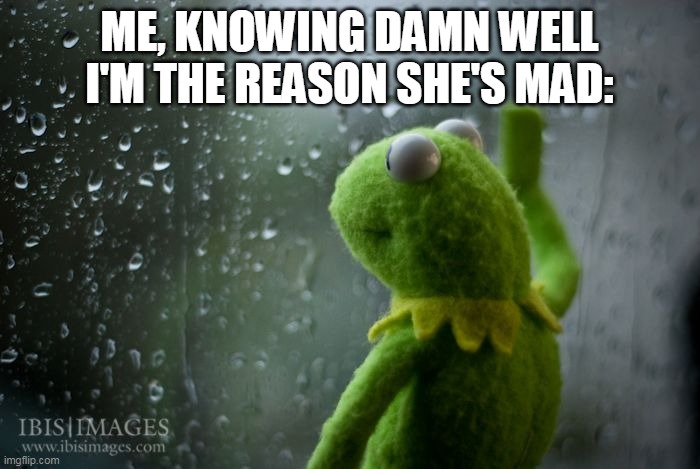 kermit window | ME, KNOWING DAMN WELL I'M THE REASON SHE'S MAD: | image tagged in kermit window | made w/ Imgflip meme maker