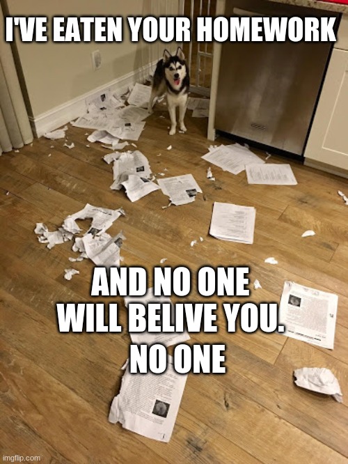 dog ate my homework meme