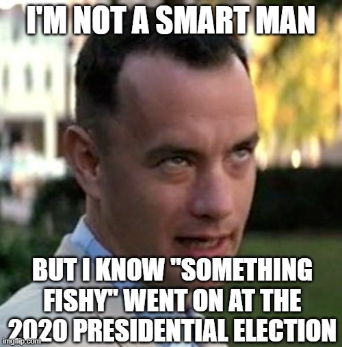 I'm not a smart man... but I know "something fishy" went on at the 2020 Election | I'M NOT A SMART MAN; BUT I KNOW "SOMETHING FISHY" WENT ON AT THE 2020 PRESIDENTIAL ELECTION | image tagged in forrest gump again | made w/ Imgflip meme maker