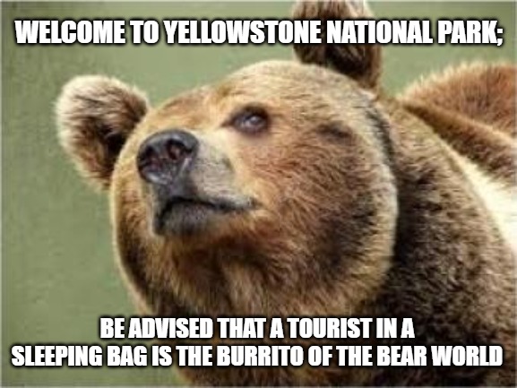 Smug Bear |  WELCOME TO YELLOWSTONE NATIONAL PARK;; BE ADVISED THAT A TOURIST IN A SLEEPING BAG IS THE BURRITO OF THE BEAR WORLD | image tagged in memes,smug bear | made w/ Imgflip meme maker