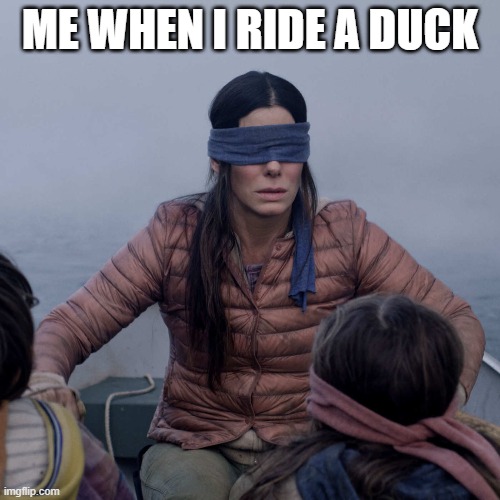 Bird Box | ME WHEN I RIDE A DUCK | image tagged in memes,bird box | made w/ Imgflip meme maker