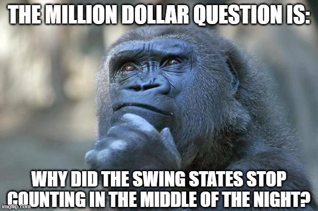 The million dollar question is: Why did the Swing States stop counting in the middle of the night? | THE MILLION DOLLAR QUESTION IS:; WHY DID THE SWING STATES STOP COUNTING IN THE MIDDLE OF THE NIGHT? | image tagged in that is the question | made w/ Imgflip meme maker