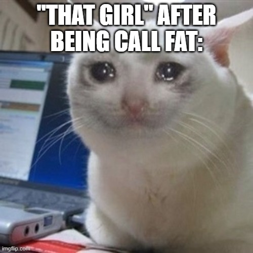 Crying cat | "THAT GIRL" AFTER
BEING CALL FAT: | image tagged in crying cat | made w/ Imgflip meme maker
