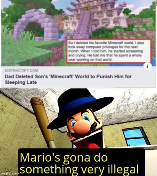 idc if this breaks the theme its funny | image tagged in mario s gonna do something very illegal | made w/ Imgflip meme maker
