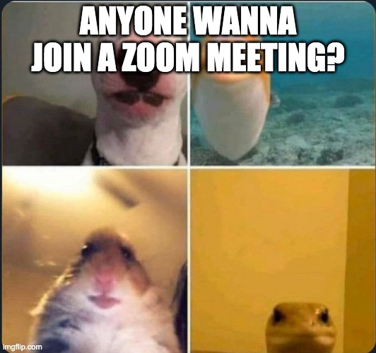 I can't make one, so you'll have to create it | ANYONE WANNA JOIN A ZOOM MEETING? | image tagged in online classes | made w/ Imgflip meme maker
