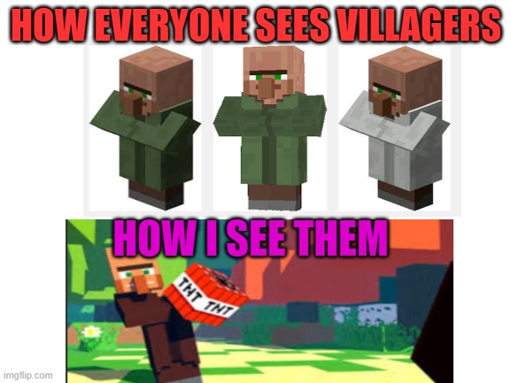 Yes, I know the meme is a bit sloppy. | HOW EVERYONE SEES VILLAGERS; HOW I SEE THEM | image tagged in blank white template,minecraft villagers | made w/ Imgflip meme maker