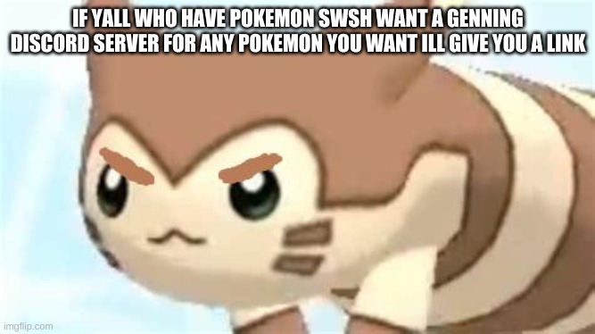 angry furret | IF YALL WHO HAVE POKEMON SWSH WANT A GENNING DISCORD SERVER FOR ANY POKEMON YOU WANT ILL GIVE YOU A LINK | image tagged in angry furret | made w/ Imgflip meme maker