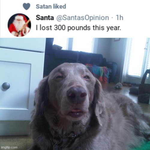 i just saw this!!!!!!! | image tagged in memes,high dog | made w/ Imgflip meme maker