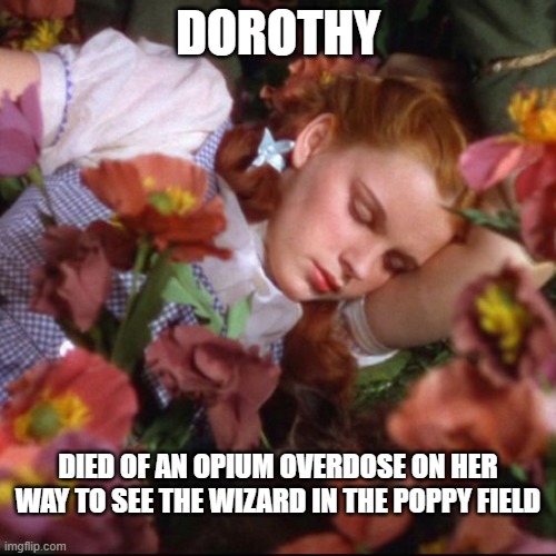 Test Meme for Facebook's Fact Checkers who Shot Down My Orwell Quote from "1984" Today | DOROTHY; DIED OF AN OPIUM OVERDOSE ON HER WAY TO SEE THE WIZARD IN THE POPPY FIELD | image tagged in wizard of oz | made w/ Imgflip meme maker