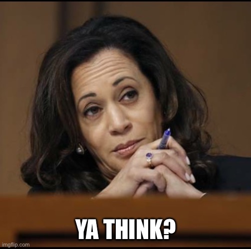 Kamala Harris  | YA THINK? | image tagged in kamala harris | made w/ Imgflip meme maker