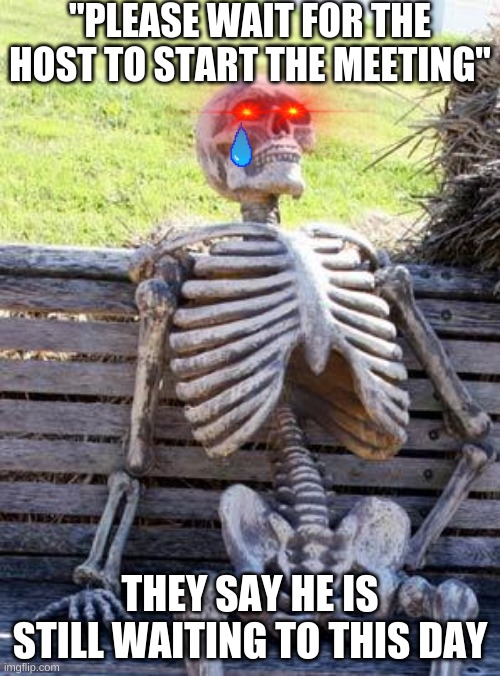 Relatable? | "PLEASE WAIT FOR THE HOST TO START THE MEETING"; THEY SAY HE IS STILL WAITING TO THIS DAY | image tagged in memes,waiting skeleton | made w/ Imgflip meme maker