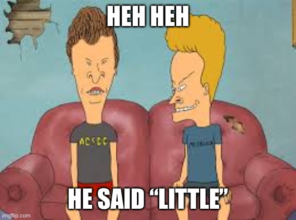 Bevis n Butthead | HEH HEH HE SAID “LITTLE” | image tagged in bevis n butthead | made w/ Imgflip meme maker