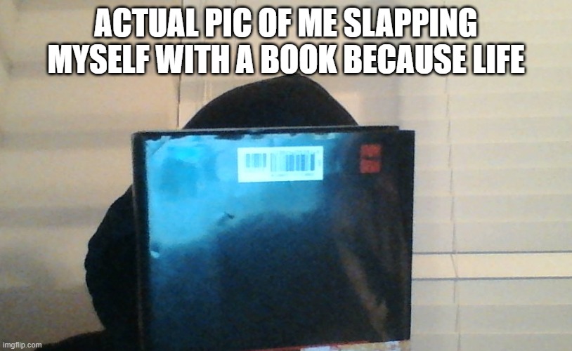 ACTUAL PIC OF ME SLAPPING MYSELF WITH A BOOK BECAUSE LIFE | made w/ Imgflip meme maker