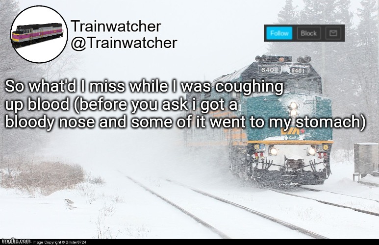 Trainwatcher Announcement 5 | So what'd I miss while I was coughing up blood (before you ask i got a bloody nose and some of it went to my stomach) | image tagged in trainwatcher announcement 5 | made w/ Imgflip meme maker