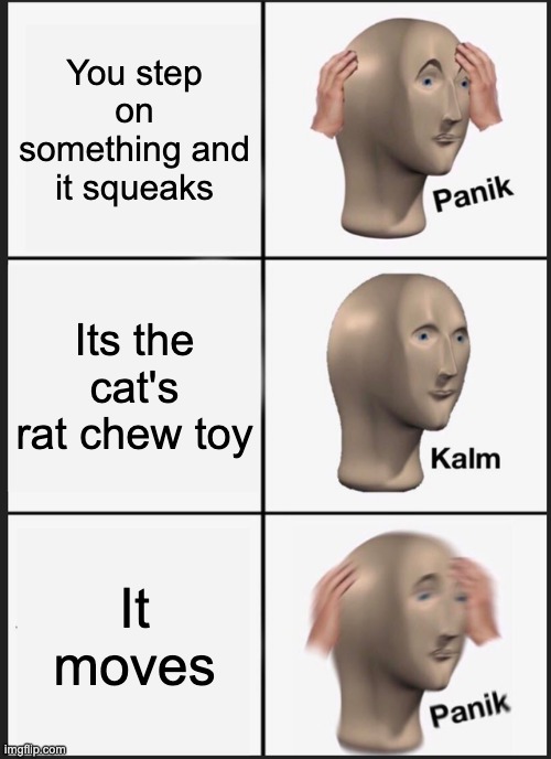 Panik Kalm Panik Meme | You step on something and it squeaks; Its the cat's rat chew toy; It moves | image tagged in memes,panik kalm panik | made w/ Imgflip meme maker