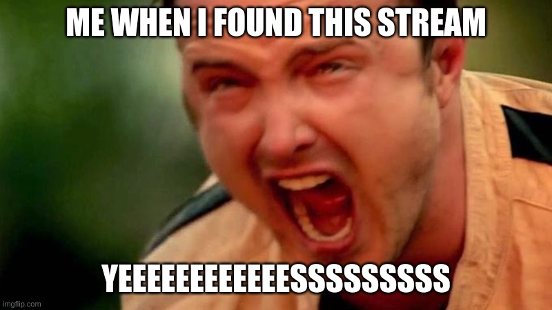 Aaron Paul Screaming | ME WHEN I FOUND THIS STREAM; YEEEEEEEEEEEESSSSSSSSS | image tagged in aaron paul screaming | made w/ Imgflip meme maker