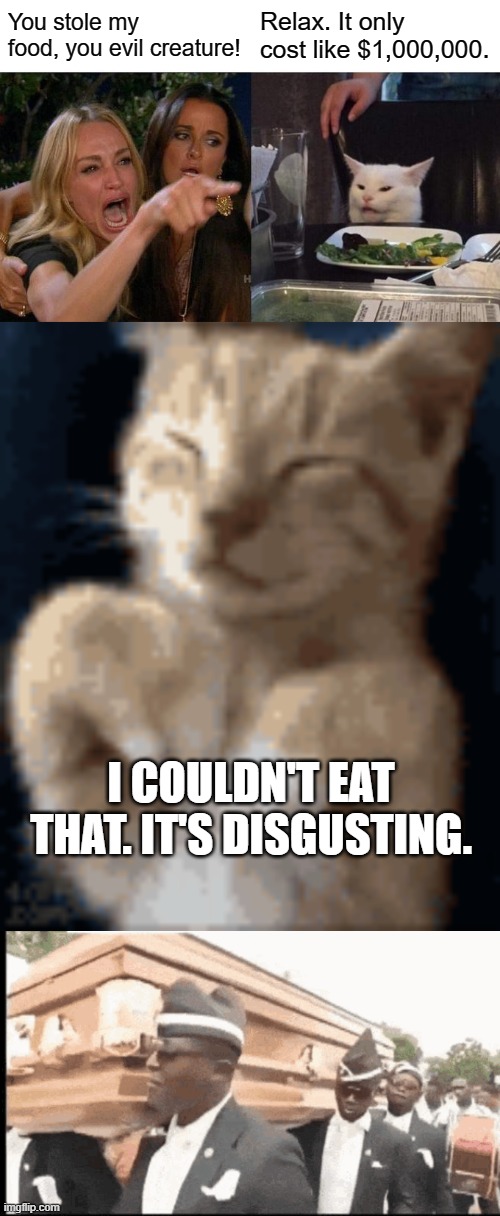 You stole my food, you evil creature! Relax. It only cost like $1,000,000. I COULDN'T EAT THAT. IT'S DISGUSTING. | image tagged in memes,woman yelling at cat | made w/ Imgflip meme maker