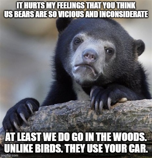 Stinks when that happens | IT HURTS MY FEELINGS THAT YOU THINK US BEARS ARE SO VICIOUS AND INCONSIDERATE; AT LEAST WE DO GO IN THE WOODS. UNLIKE BIRDS. THEY USE YOUR CAR. | image tagged in memes,confession bear,bears,birds,woods,cars | made w/ Imgflip meme maker