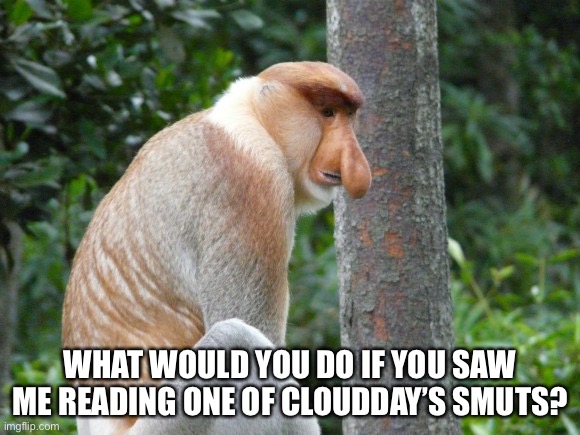nosacz smutek | WHAT WOULD YOU DO IF YOU SAW ME READING ONE OF CLOUDDAY’S SMUTS? | image tagged in nosacz smutek | made w/ Imgflip meme maker