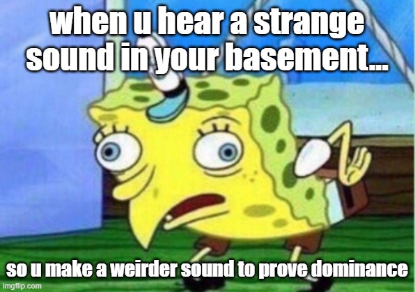 spounge bob | when u hear a strange sound in your basement... so u make a weirder sound to prove dominance | image tagged in memes,mocking spongebob | made w/ Imgflip meme maker